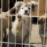 2bcdc371-884e-4932-ae05-9813c2bea763