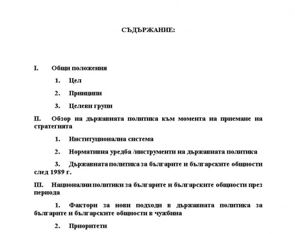 Част от първата страница на проекта за Национална стратегия, качен в сайта на ДАБЧ