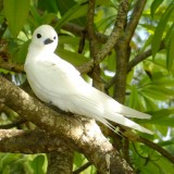 Снимка: Chudesa.net