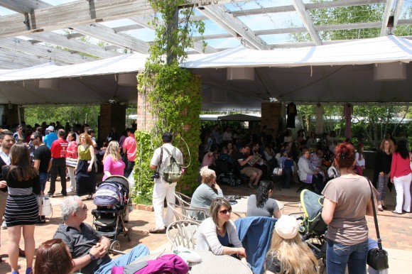 24 май Чикаго