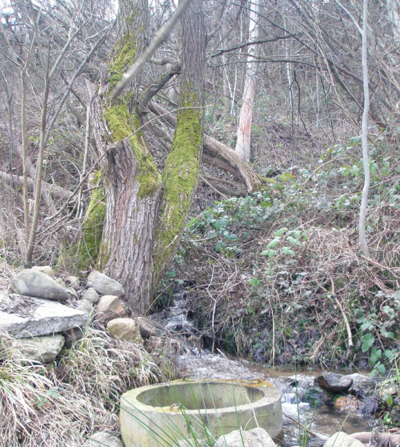 Ogosta_sled-Pravitelstvena-komisia_02.2015_html_3154ab3e