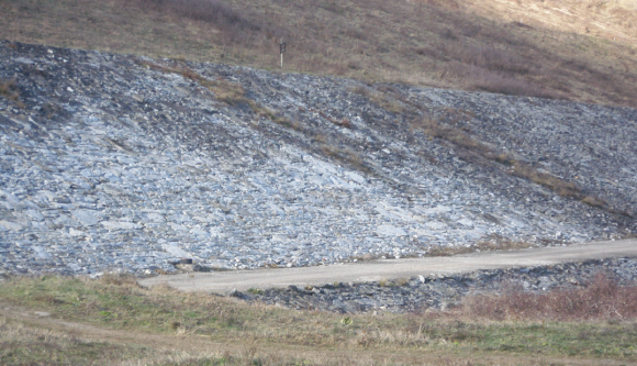 Ogosta_sled-Pravitelstvena-komisia_02.2015_html_m7e7a4245