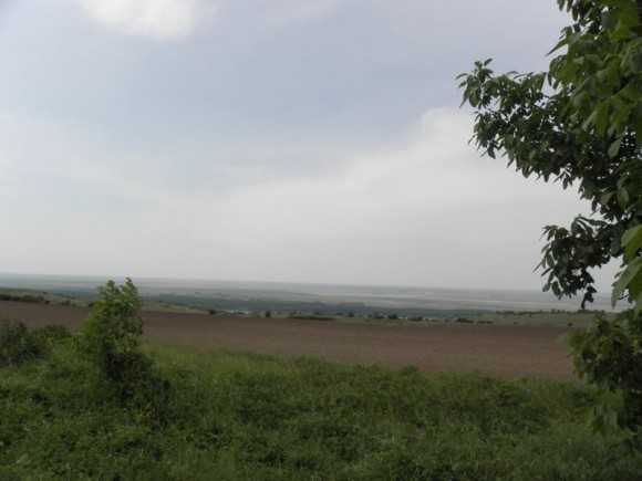 11247073_10204184258870959_5958557491052326973_n