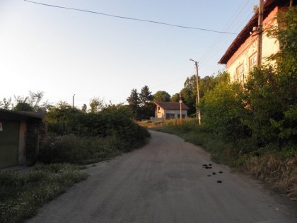 11264893_10204184265111115_1577114426608299426_n