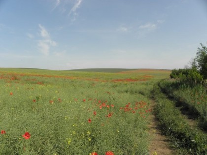 11401116_10204184260511000_7558009737891938875_n