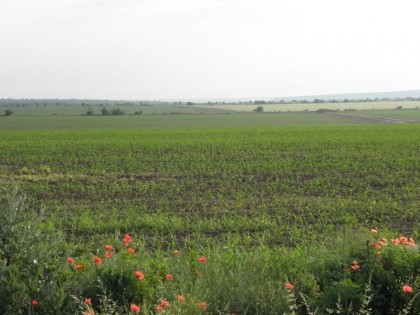 11406796_10204184261431023_4195553576602137363_n