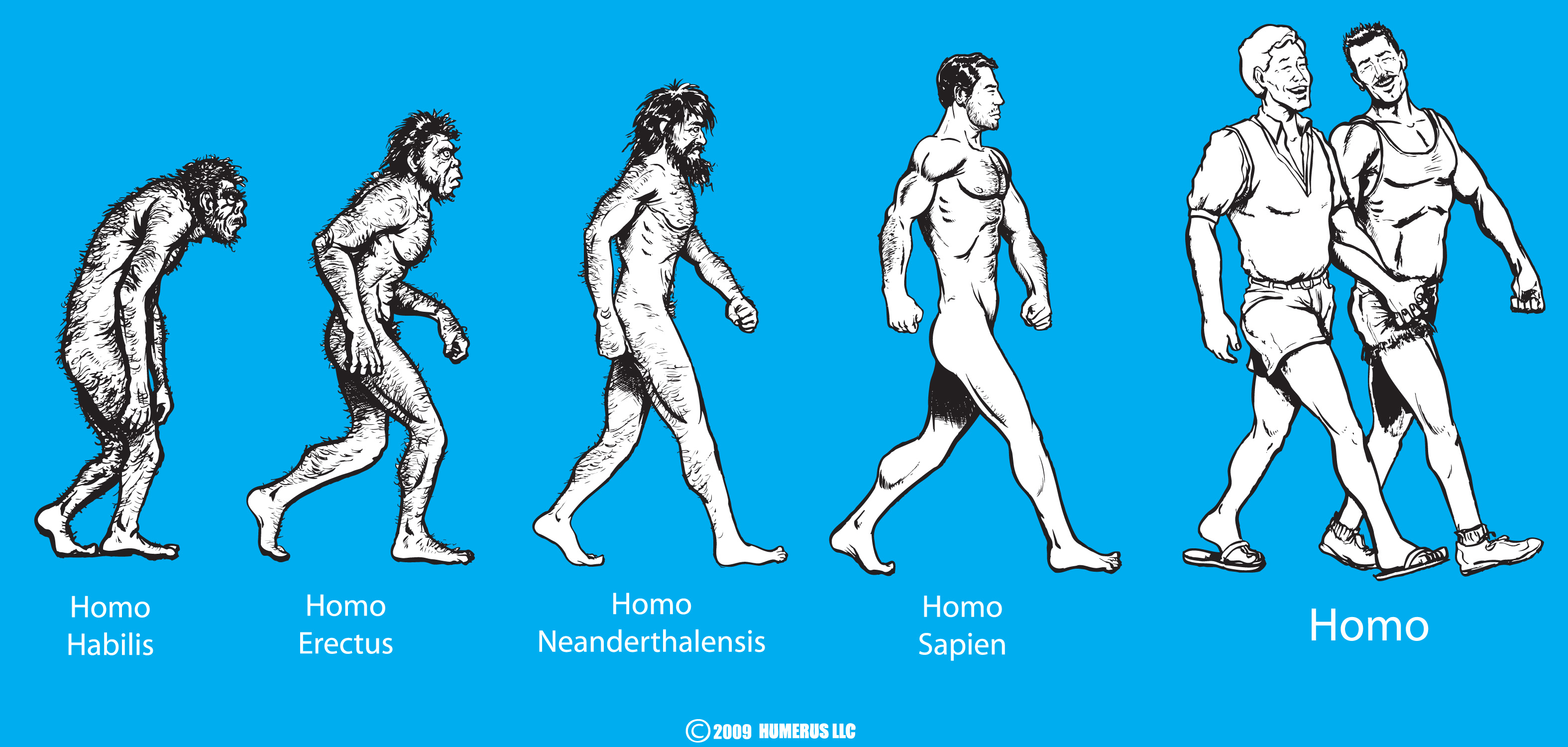 Развитие прогресс эволюция. Эволюция человека homo sapiens. Хомо сапиенс Эволюция. Эволюция гомо. Эволюция человека хомо.