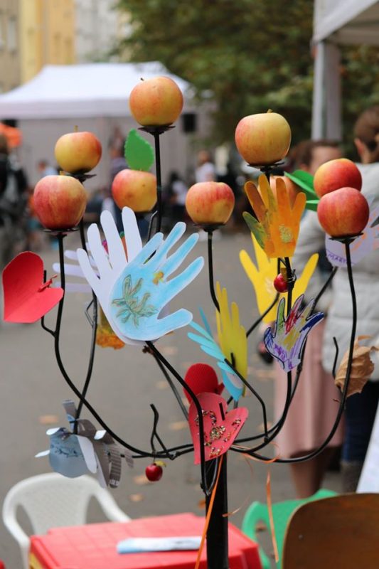 14480693_1211615292230944_2159059062965557947_o