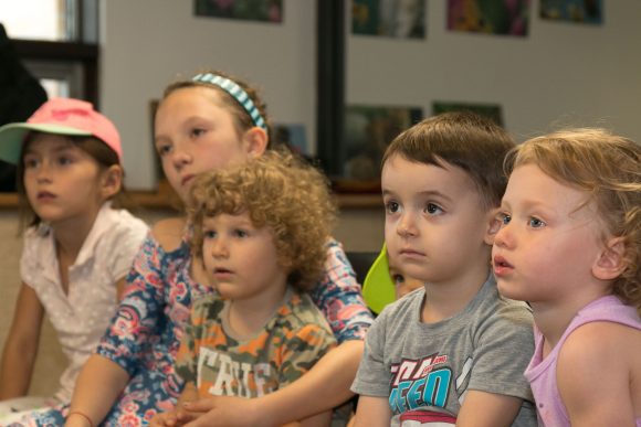 Лятна чуднотека