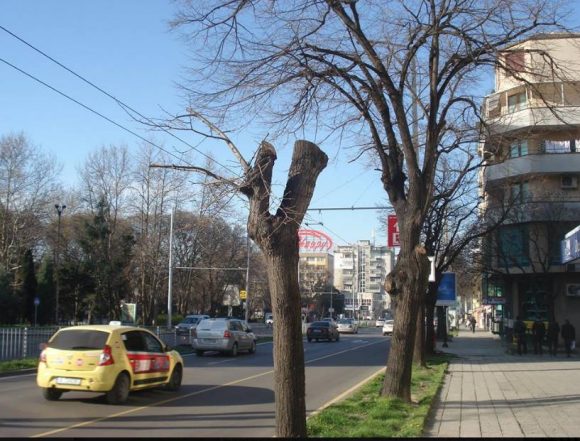 "Белите дробове" на Варна!