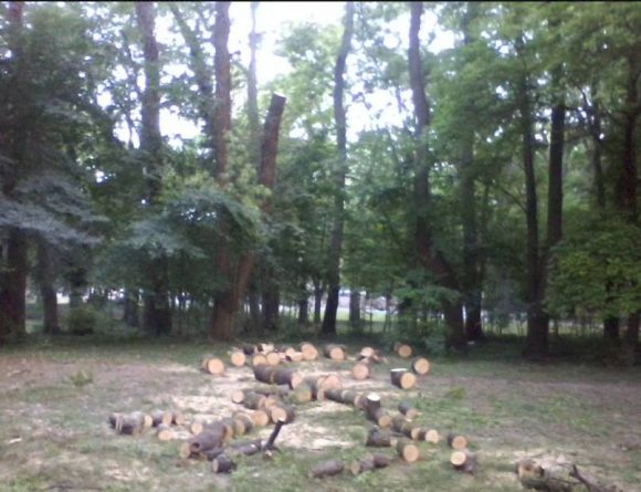 Сеч в Морската градина!