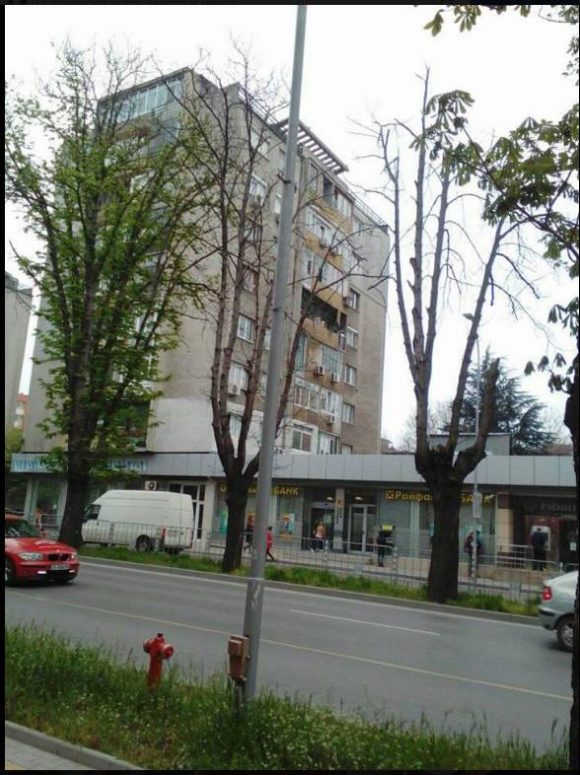 "Дърво" на ул."Цар Асен"!