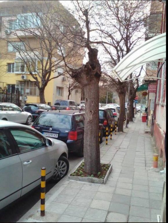 Грозни гледки из малките улици в центъра на Варна непосредствено зад Общината!