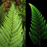 Снимка: nauka.offnews.bg