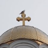 Илюстрация: 24smolian.com